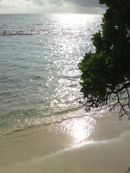 Bick auf das Meer vom Strand Summer Island Maldives