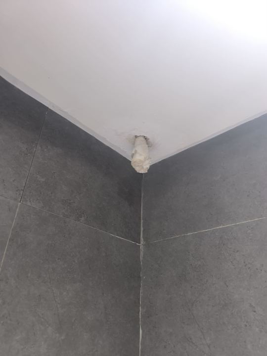 Zimmer Caribbean World Thalasso Djerba