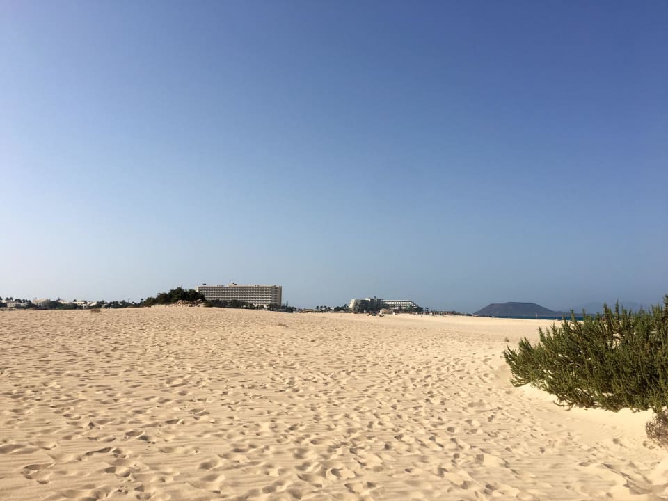 Hotel aus den Dünen Hotel Riu Oliva Beach Resort