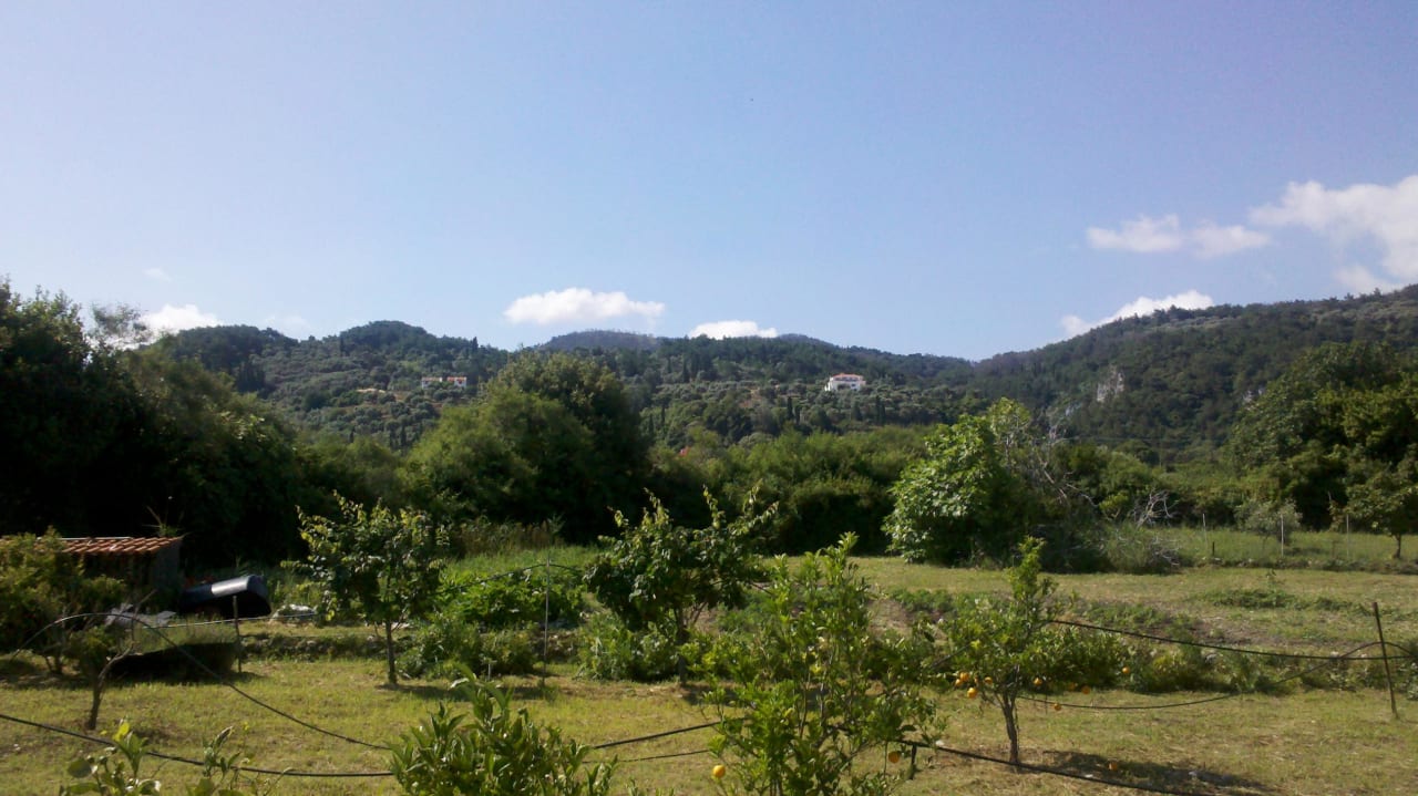 Blick von der Frühstücksterrasse Hotel Golden Sun