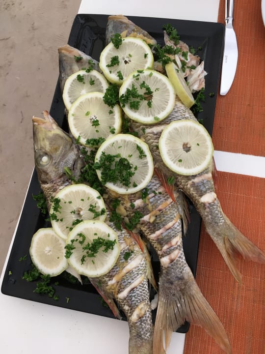 Gastro Ellaidhoo Maldives by Cinnamon