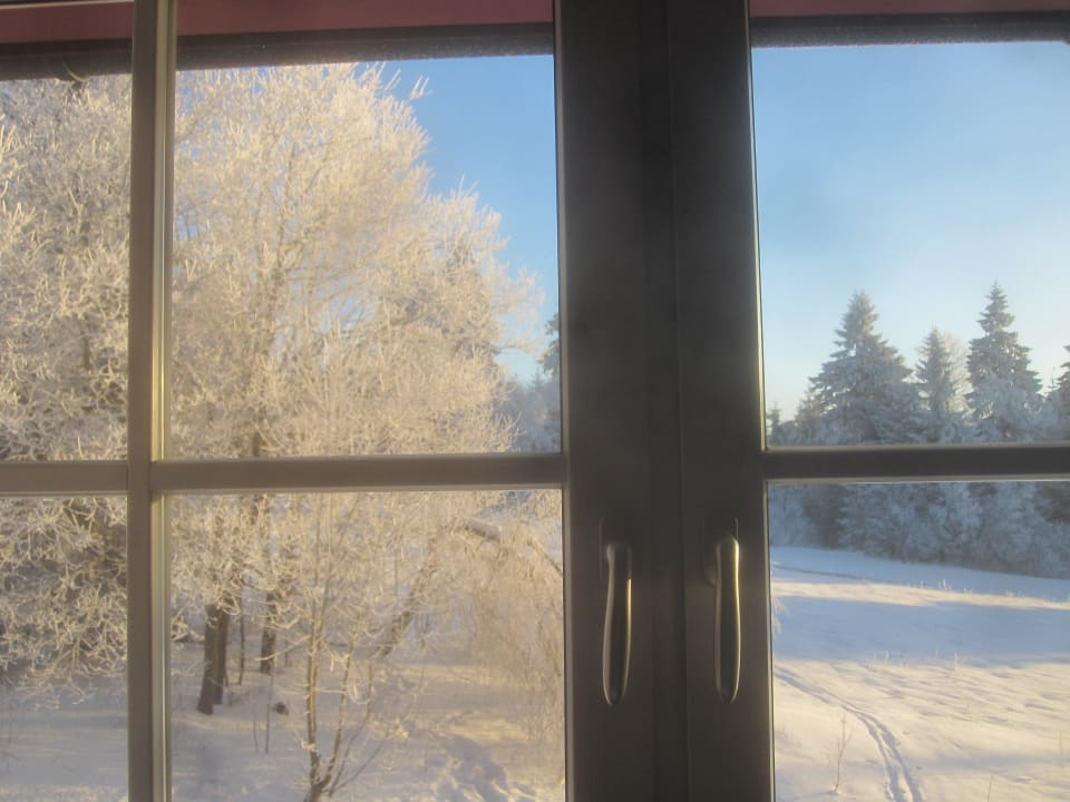 Blick aus dem Fenster unseres Doppelzimmers Berghotel Ebertswiese am Rennsteig