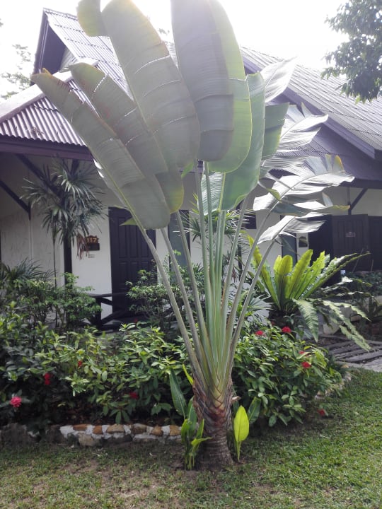 Gartenanlage Annika Koh Chang