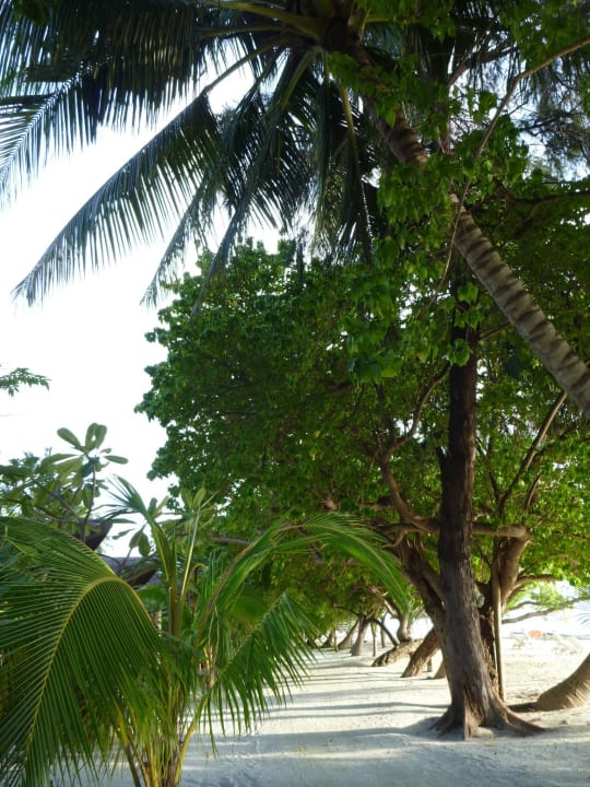 Adaaran Select Hudhuran Fushi  Adaaran Select Hudhuran Fushi - Premium All Inclusive