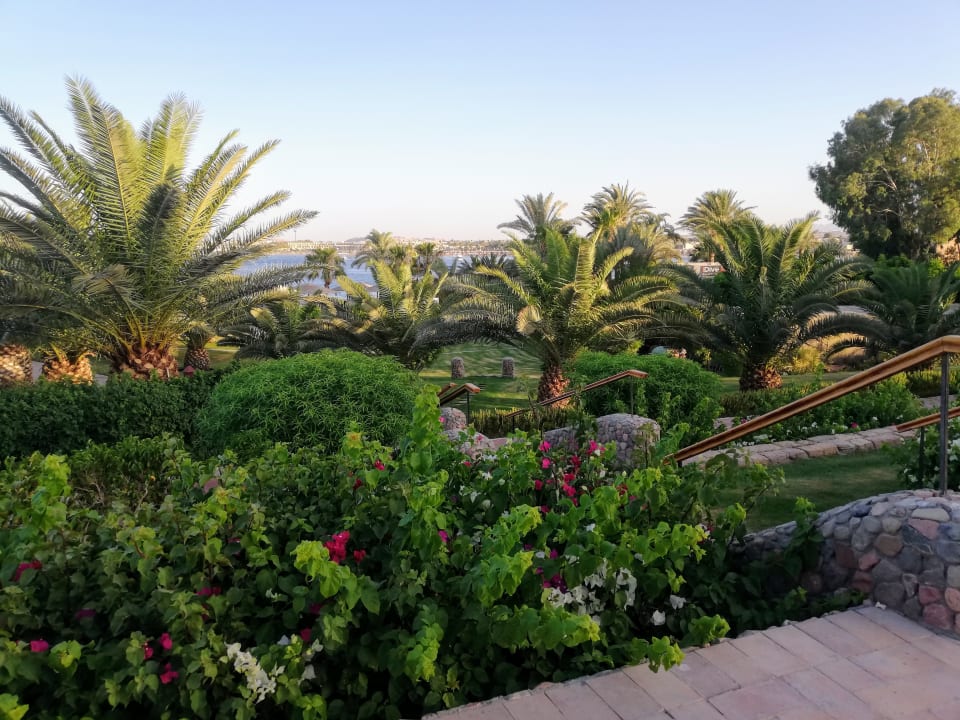 Ausblick Fort Arabesque Resort, Spa & Villas