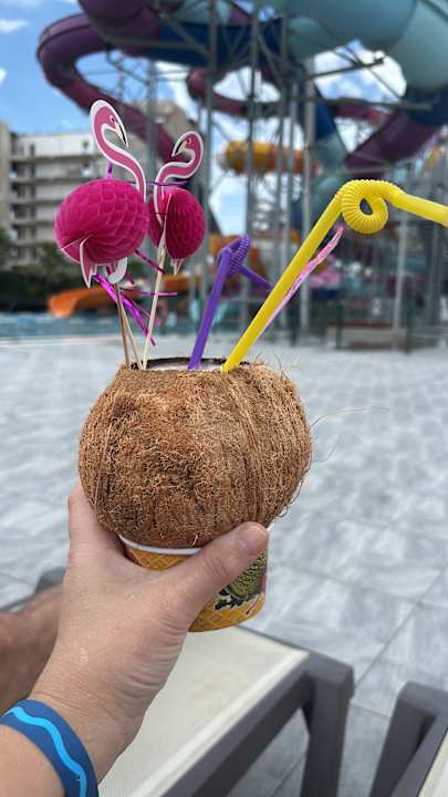 Pool Dream Water World