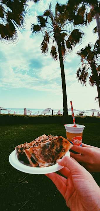 Gastro Acanthus Cennet Barut Collection