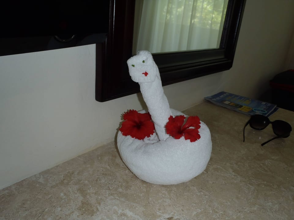 Jeden Tag was Neues  Viva Azteca by Wyndham - All Inclusive Resort