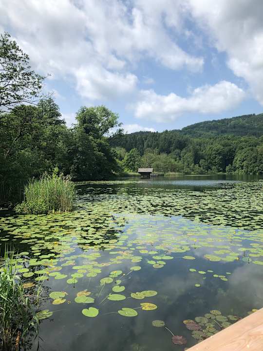 Sport & Freizeit Kurhotel Falter