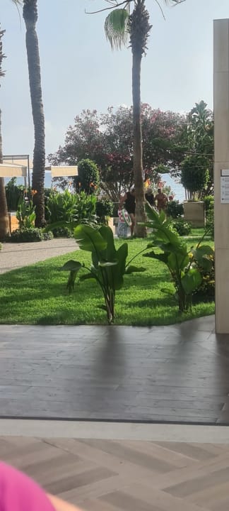 Gartenanlage Nerton Hotel - Erwachsenenhotel ab 16 Jahren