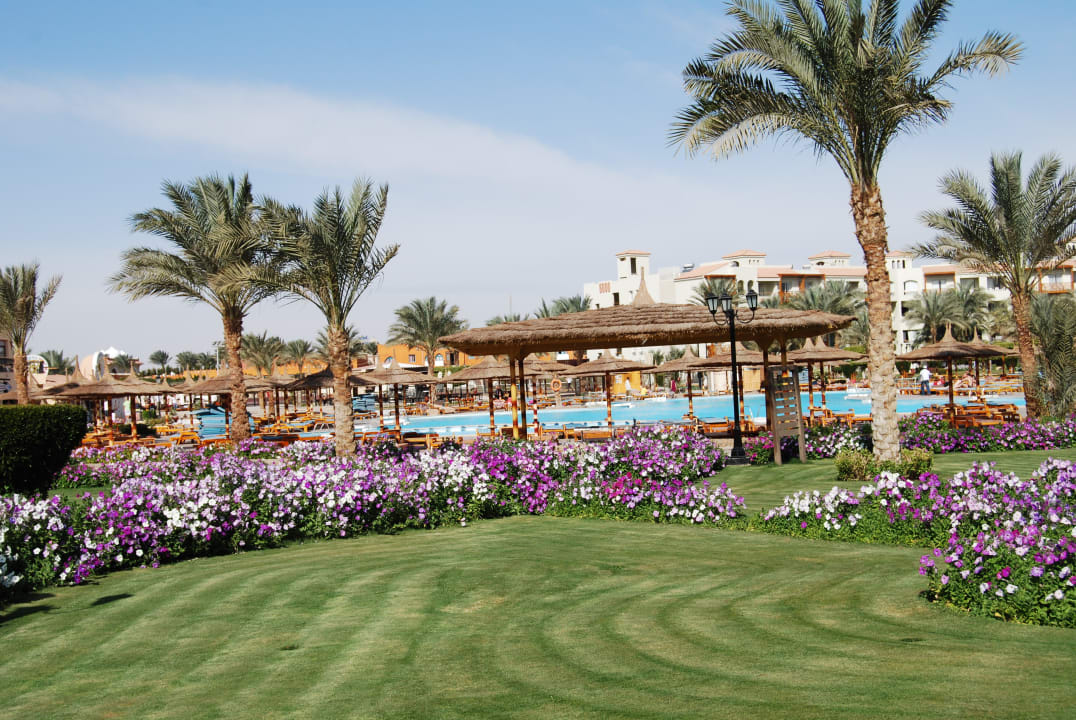 Garten Pickalbatros Dana Beach Resort - Hurghada