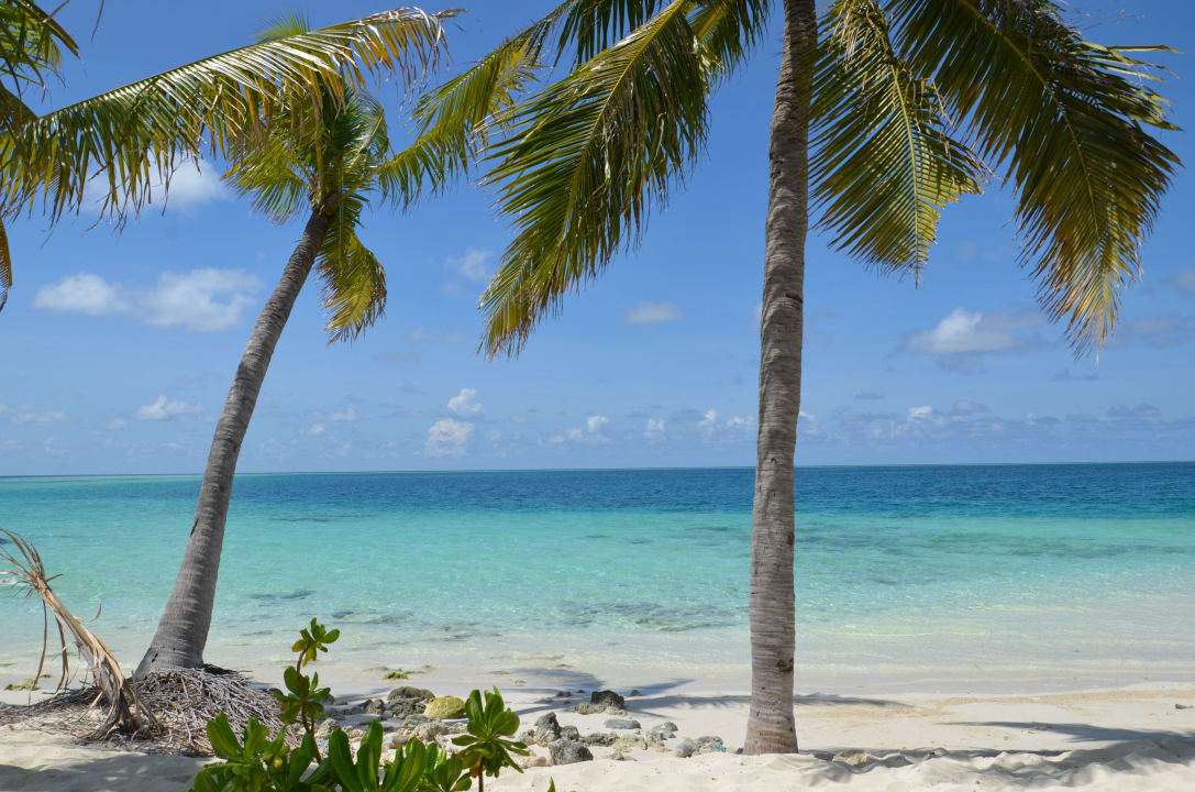 Strand bei den Deluxe Beachbungalows Centara Ras Fushi Resort & Spa Maldives