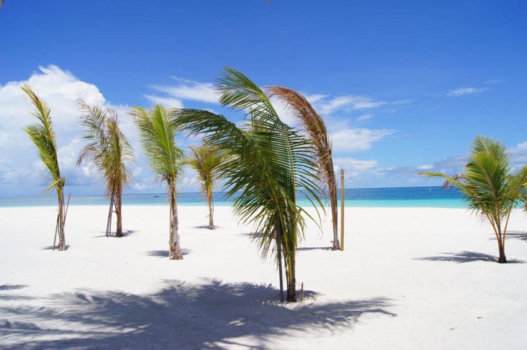 Przed basenem  Velassaru Maldives