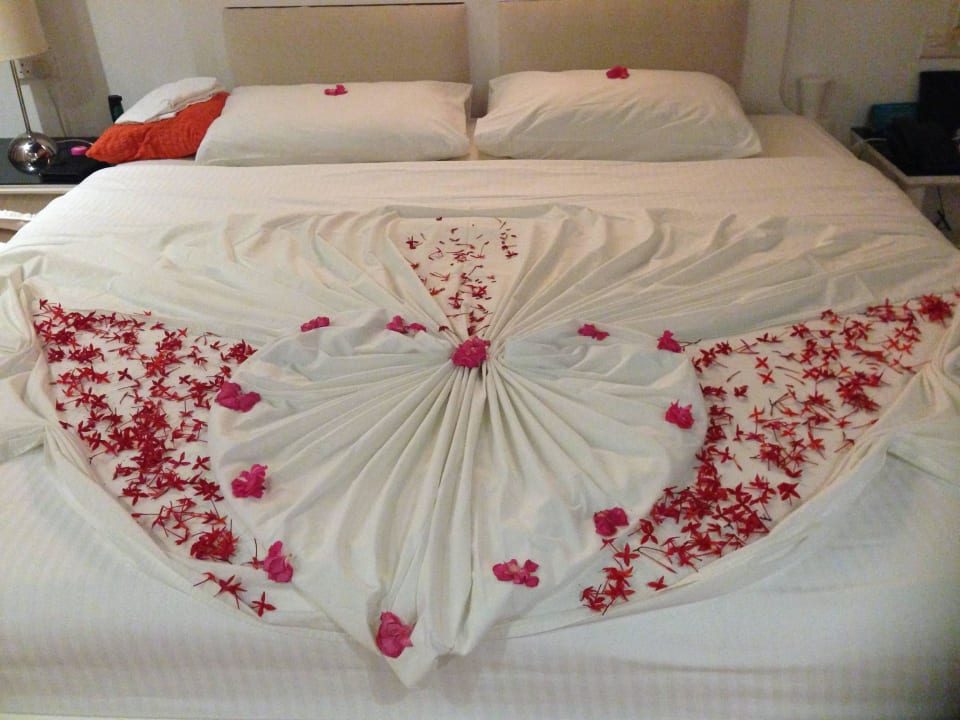 Honeymoon Special Cinnamon Dhonveli Maldives