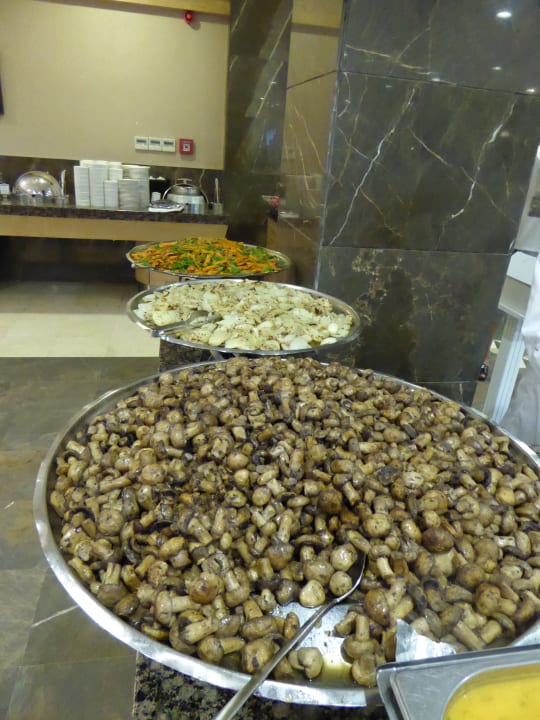 Gastro Alba Queen Hotel