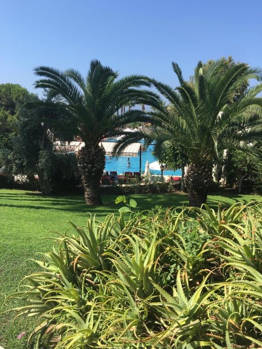 Blick von der Garten Anlage Hotel Thalia Unique