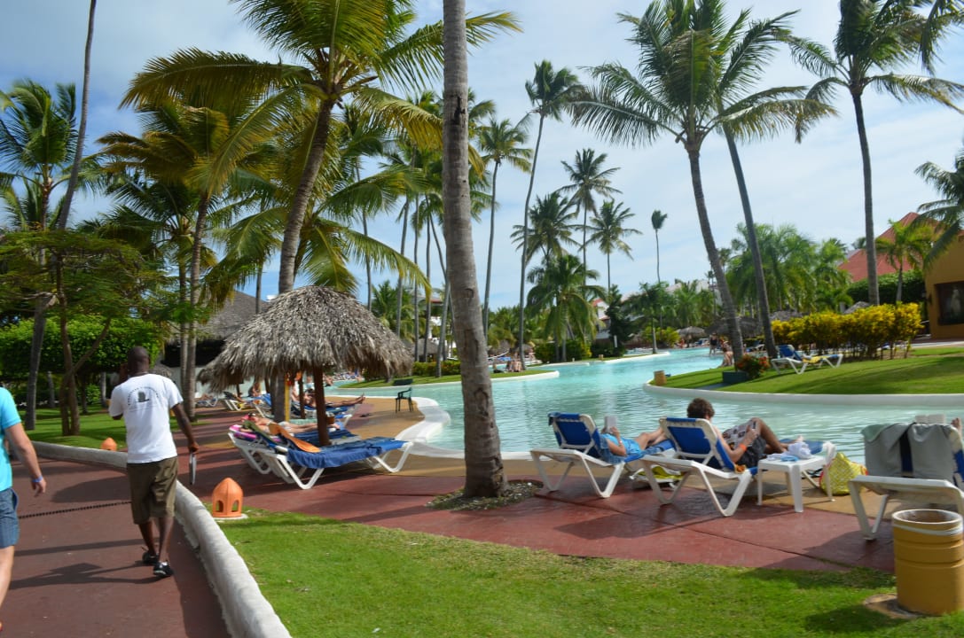 Occidental Grand Flamenco Punta Cana  Occidental Punta Cana