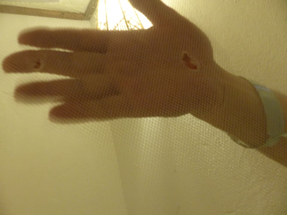 Zimmer Hotel Papillon Lagoon Reef