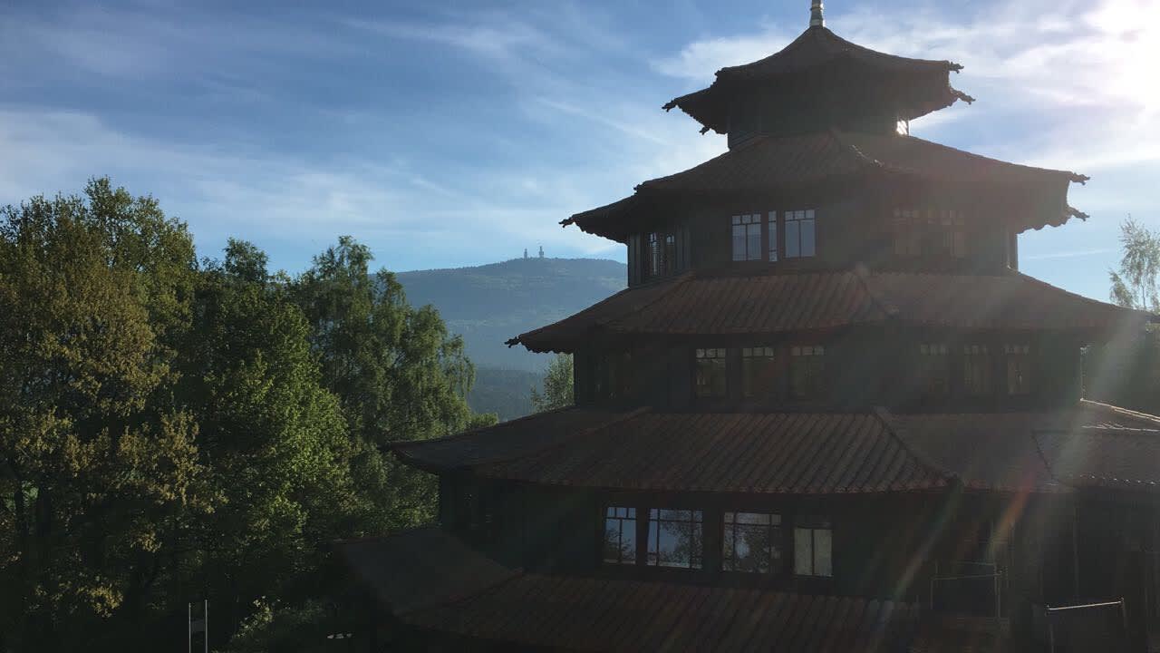 Sonstiges Spirit & SPA Hotel Birkenhof am Elfenhain