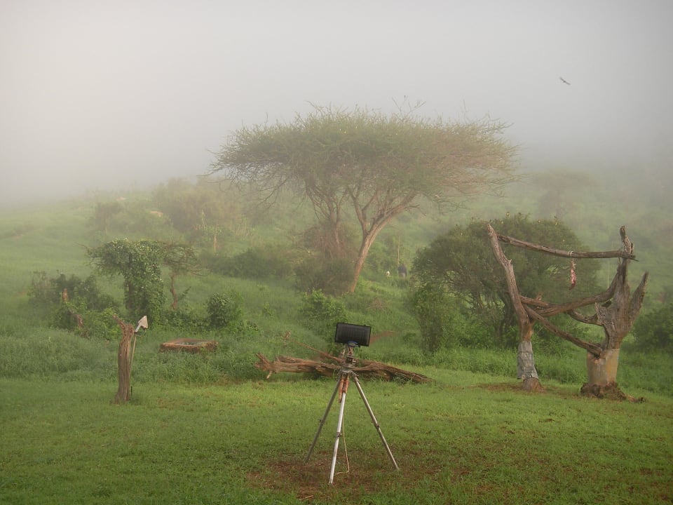 Ausblick vom Frühstückstisch Ngulia Safari Lodge
