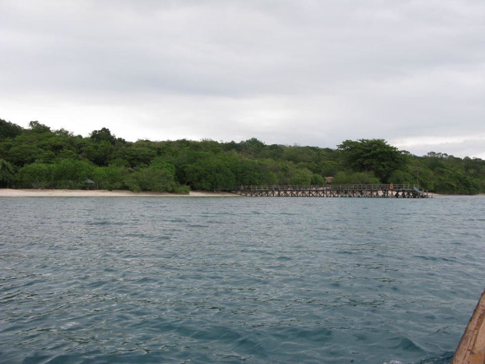 Ankunft Waka Shorea NusaBay Menjangan