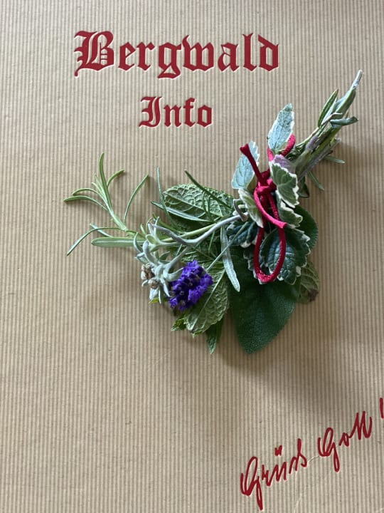 Sonstiges Bergwald-Appartements -Alpbach