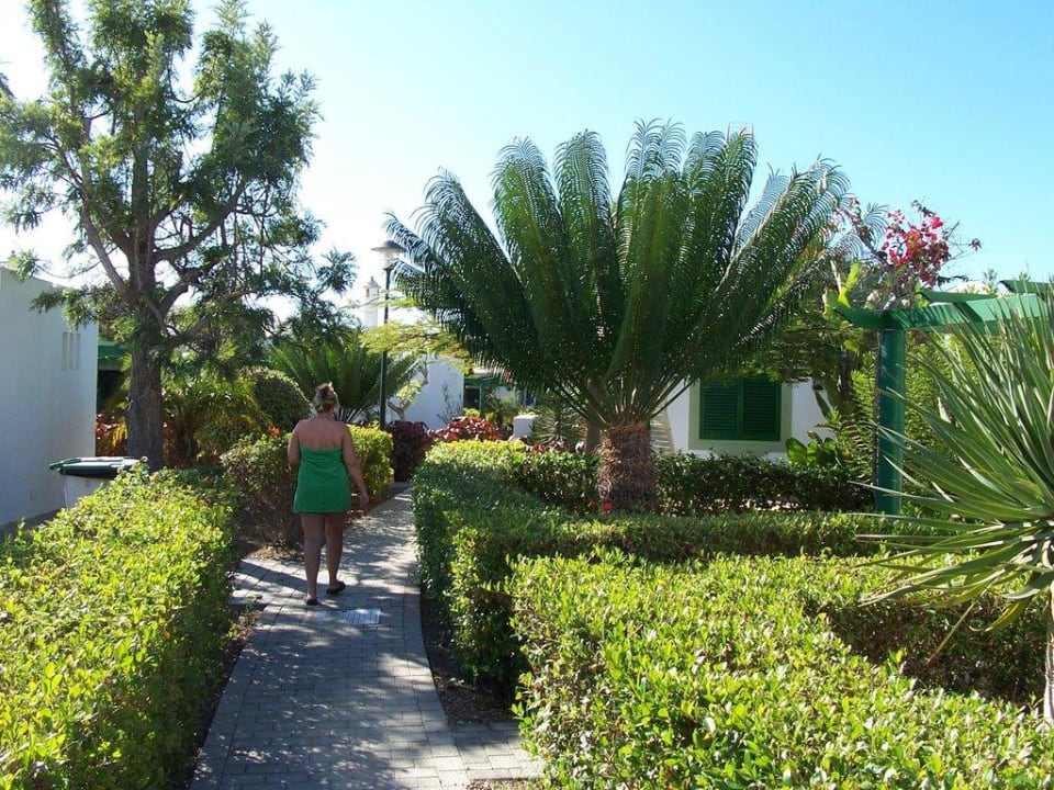 Zwischen den Bungalows Bungalows Cordial Sandy Golf