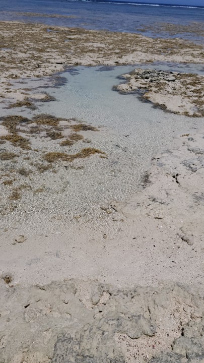 Strand Novotel Marsa Alam Beach Resort