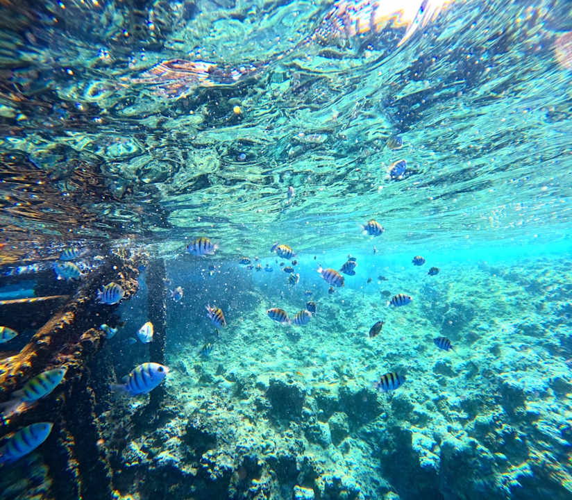 Strand Coral Hills Resorts & SPA