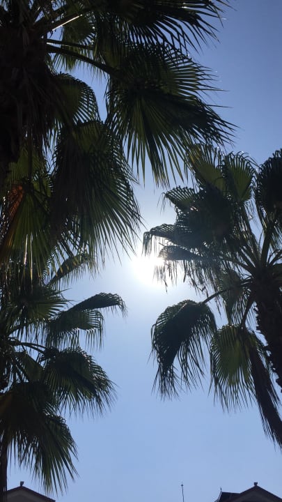 Poolpalmen FUN&SUN Smart Hane Sun Hotel