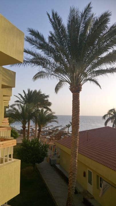 Ausblick Palm Beach Resort