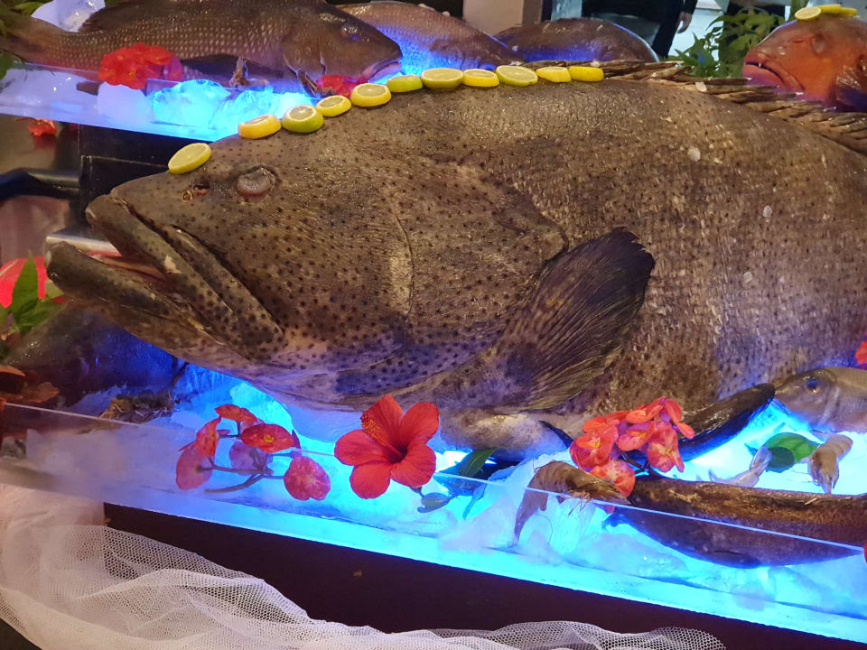 Gastro Cleopatra Luxury Resort Makadi Bay