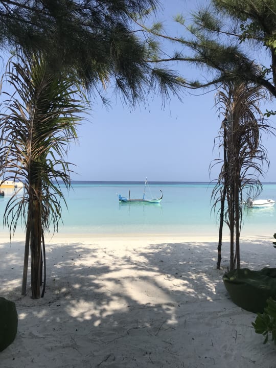 Strand Summer Island Maldives