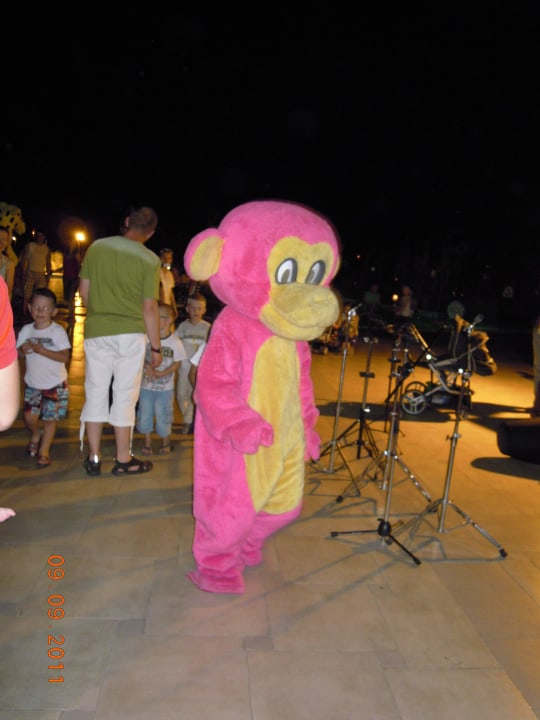 Kinderanimation am Abend Pickalbatros Jungle Aqua Park Resort - Neverland Hurghada