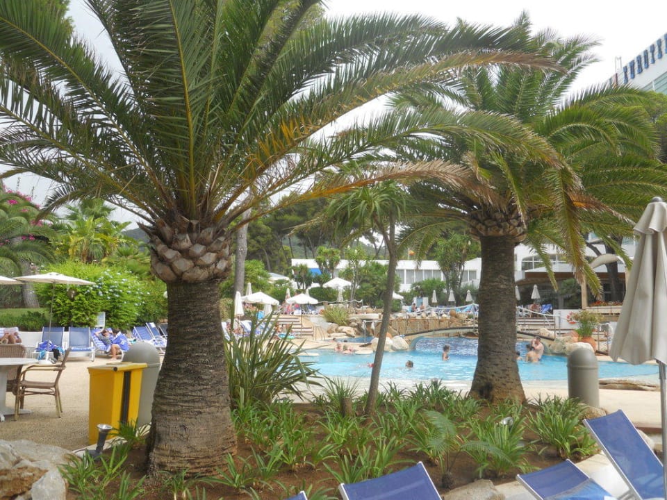 Poolbereich Hipotels Eurotel Punta Rotja Golf & Spa