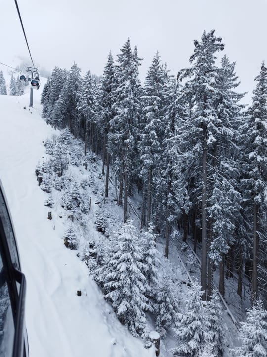 Ausblick Café Pension Koller