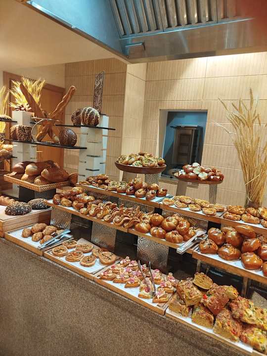 Gastro JAZ Elite Asteria