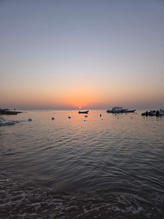 Zimmer Prima Life Makadi Resort