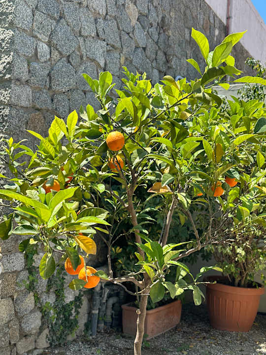 Sonstiges Aldiana Club Rocca Nettuno Calabria