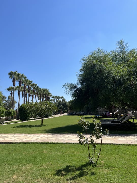 Gartenanlage Arum Barut Collection