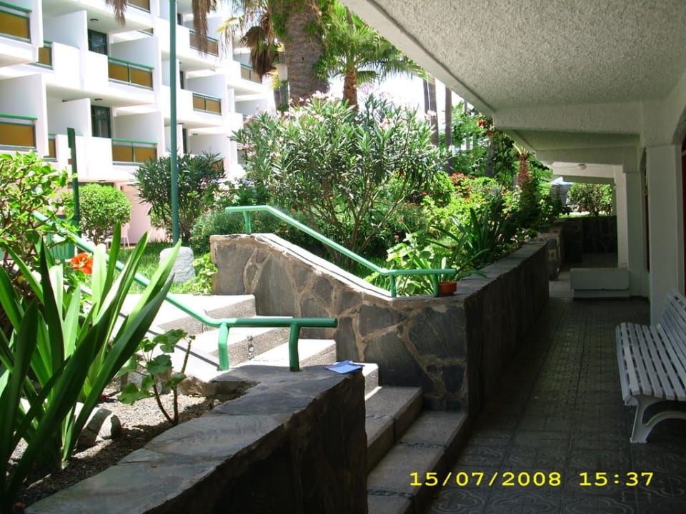 Blick von der Rezeption zum Hotel Hotel El Palmar