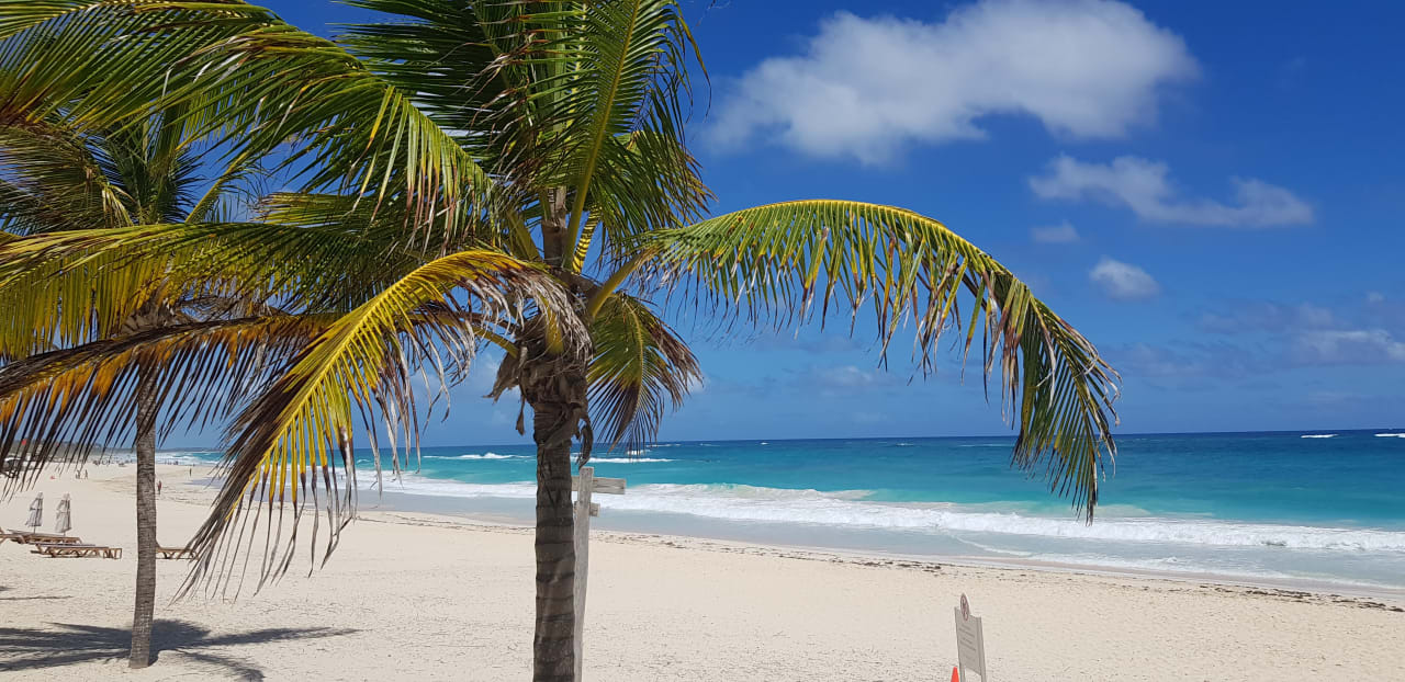 Strand Hotel Riu Republica - Adults only