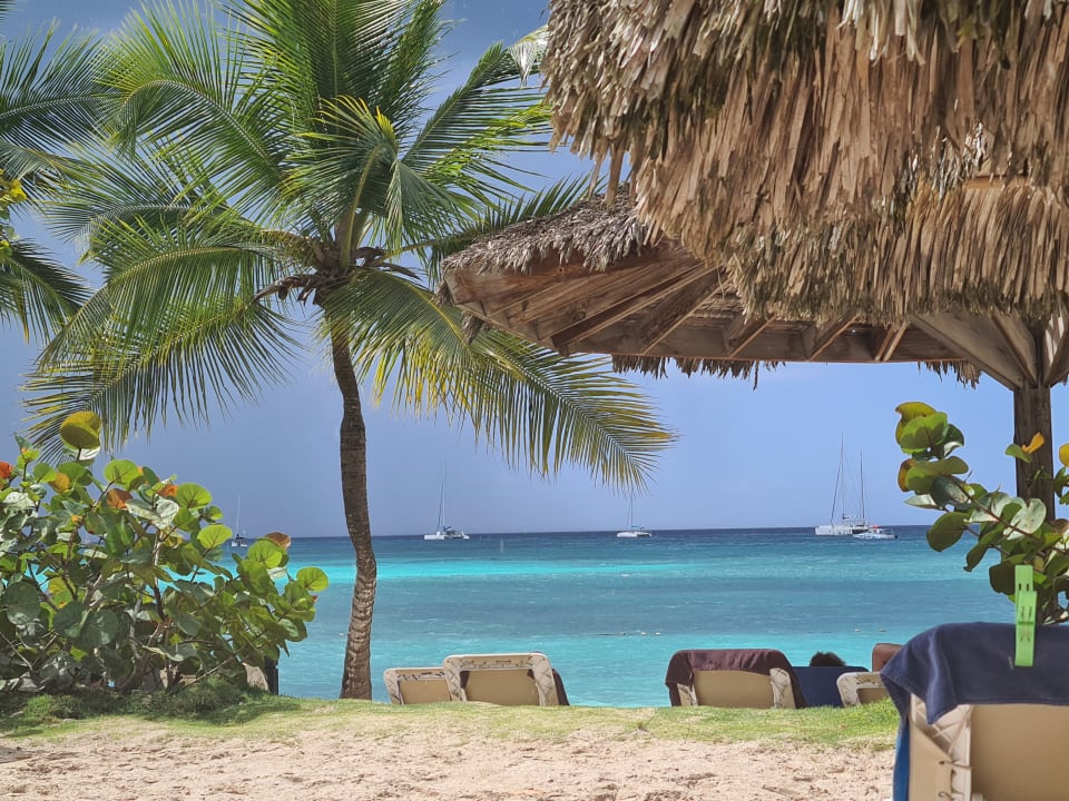 Strand Dreams La Romana Resort & Spa