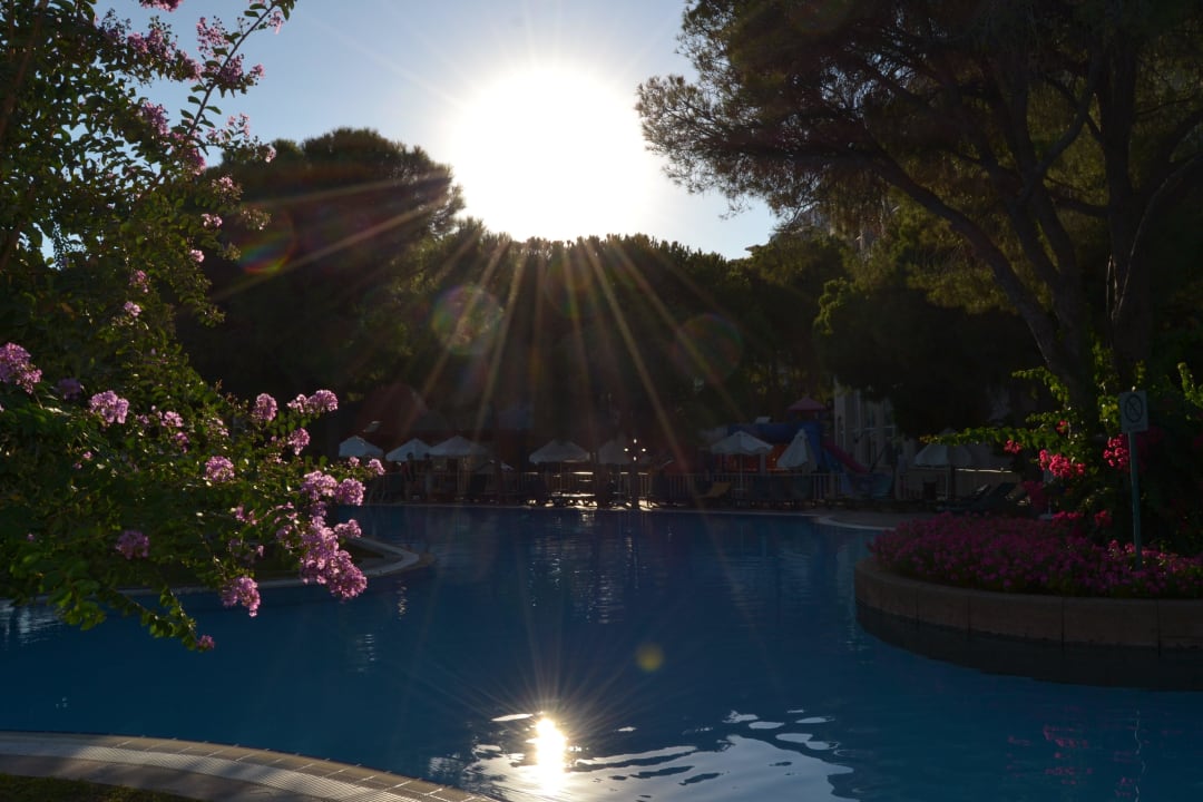 Poolanlage bei Sonnenuntergang Papillon Ayscha