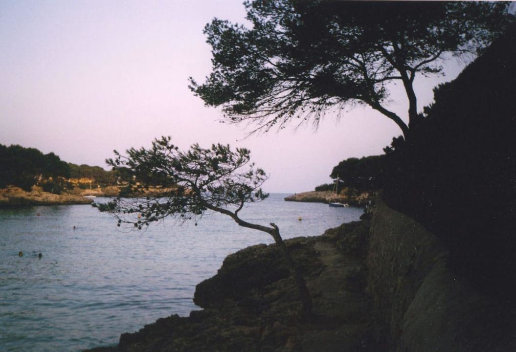 Hotel Rocador Playa Grupotel Rocador