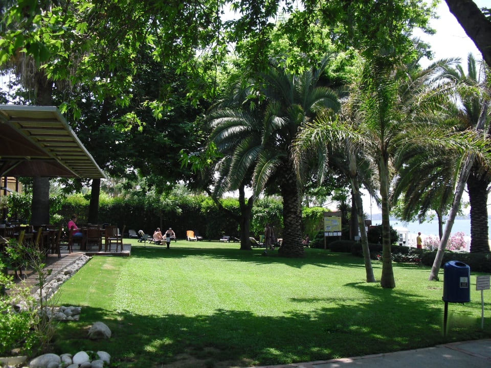 Gartenanlage am Strand Side Star Elegance