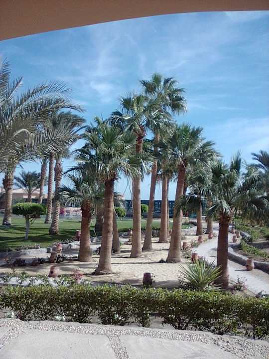 Blick zum Restaurant... Club Paradisio El Gouna, Red Sea