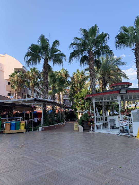 Gartenanlage Hane Family Resort