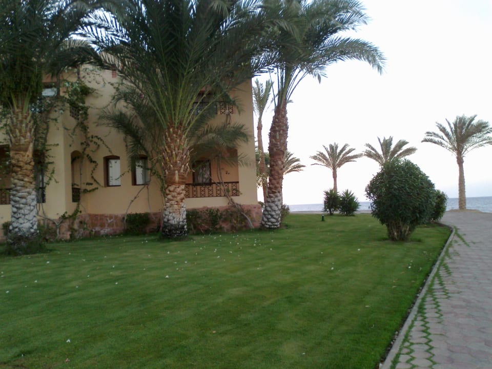 Prechádzka v Corayi Steigenberger Coraya Beach - Adults only