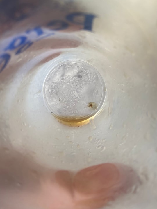 Gastro Hotel Orfeus Park